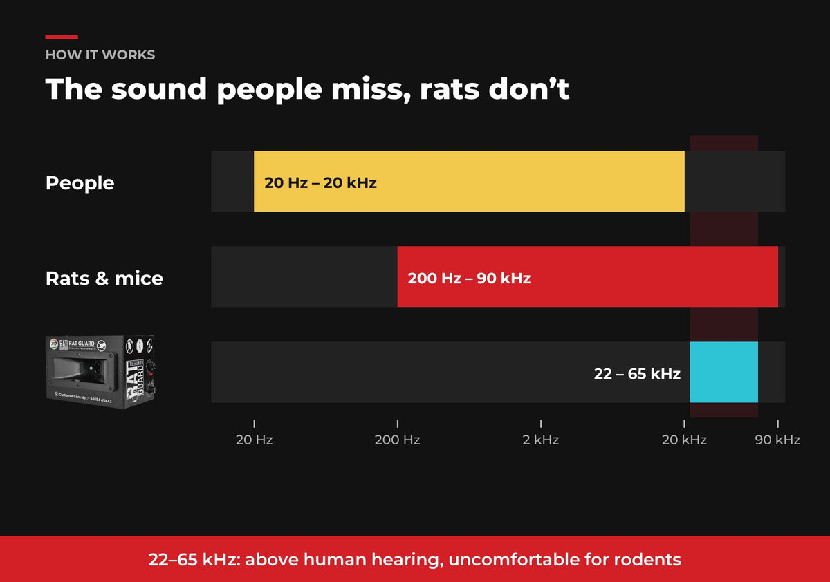 How the Ratguard Pro 360 works: 22 to 65 kHz ultrasound