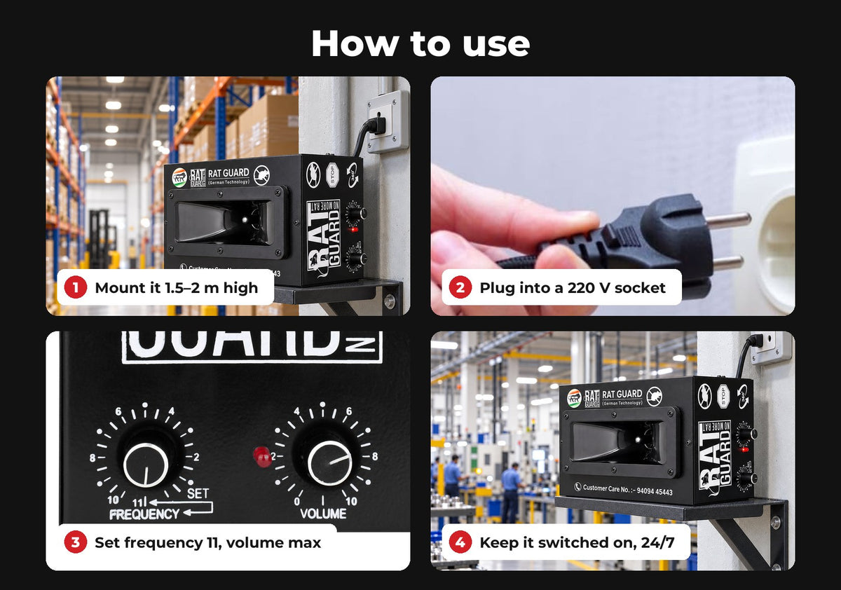 How to use the Ratguard Pro 360 in four steps